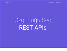 Tablet Screenshot of nicesi.com